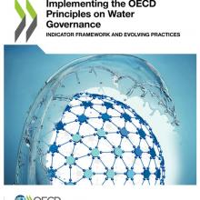 Evolving Water Governance Practices